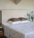 Couette - Camelia 450g - image 1