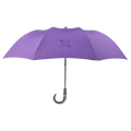 Parapluie - LE VOYAGEUR VIOLET - image 1