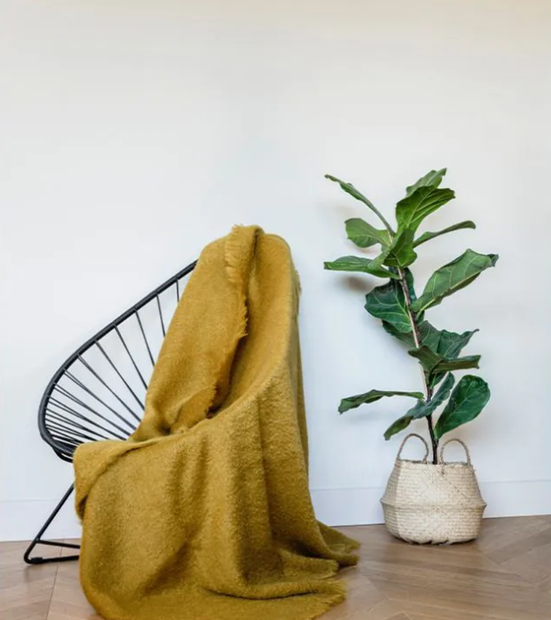 Plaid - Mohair Uni Ambre - image 1